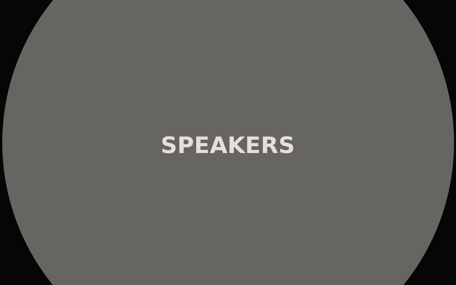 Powered Speakers (12")