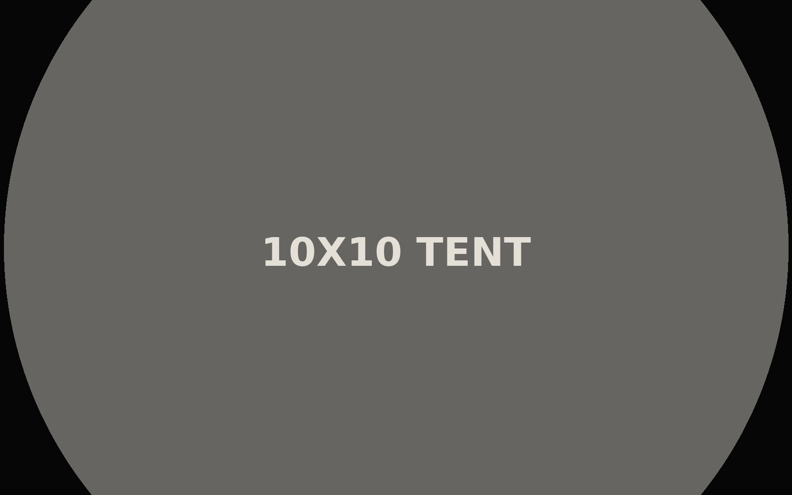 10' x 10' Pop-Up Tent